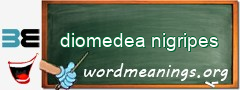WordMeaning blackboard for diomedea nigripes